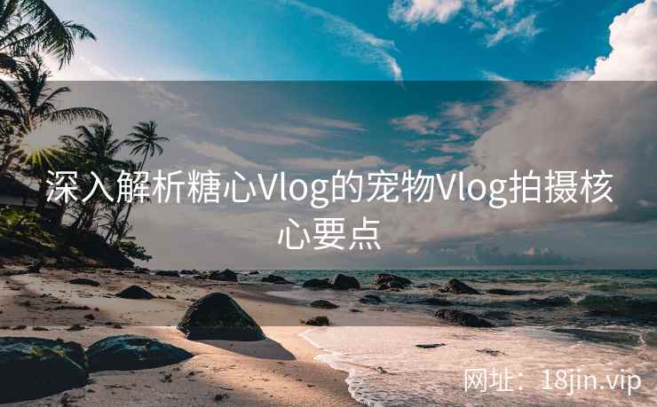 深入解析糖心Vlog的宠物Vlog拍摄核心要点
