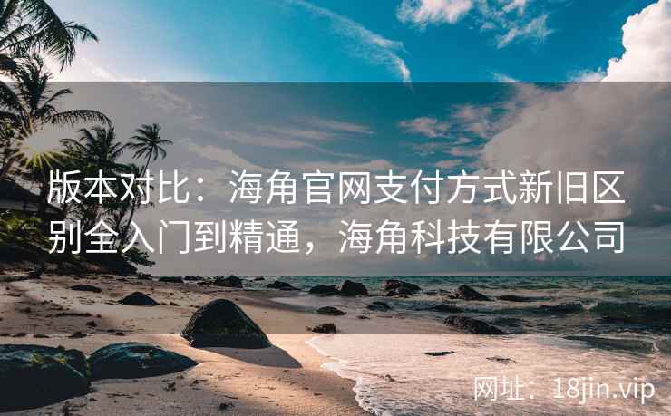 版本对比：海角官网支付方式新旧区别全入门到精通，海角科技有限公司