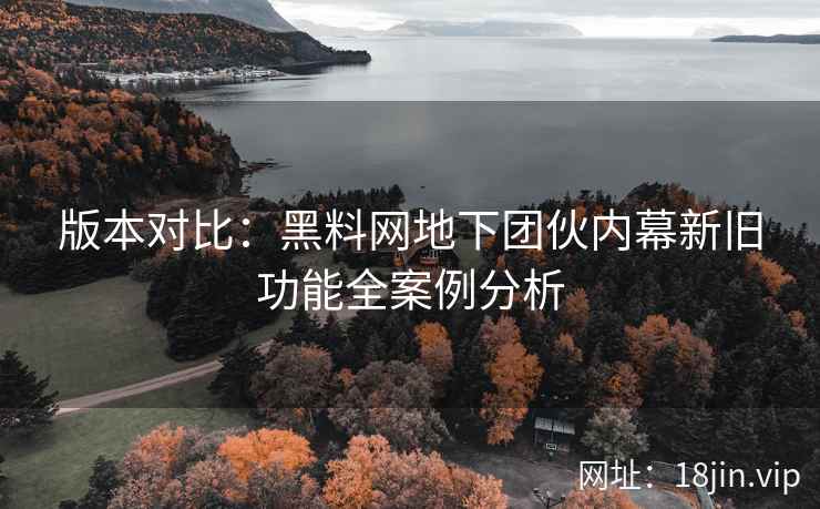 版本对比：黑料网地下团伙内幕新旧功能全案例分析