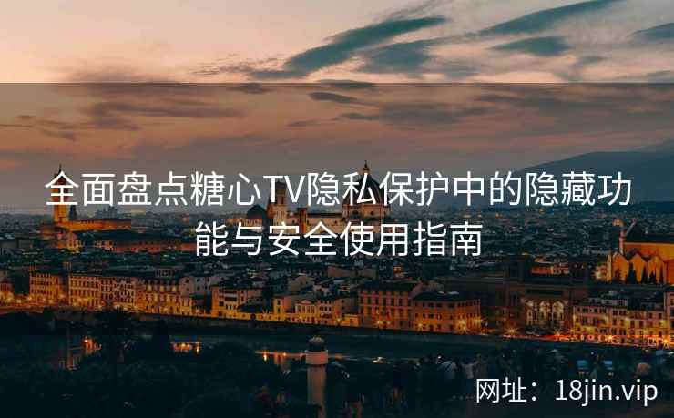 全面盘点糖心TV隐私保护中的隐藏功能与安全使用指南